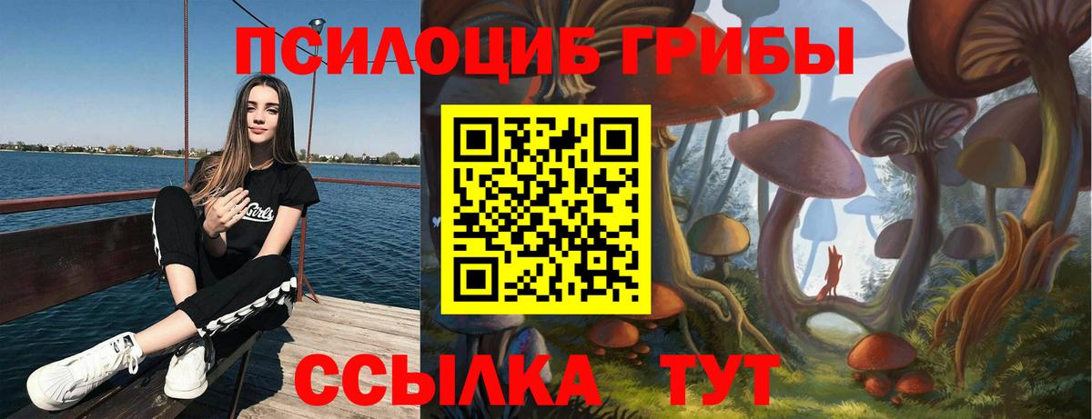Каменск-Шахтинский  Псилоцибиновые грибы Psilocybe  Вход с VPN 